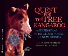 Image of quest for the tree kangaroo an expedition to the cloud forest of new guinea