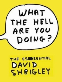Image of What the Hell Are You Doing by David Shrigley Hardback