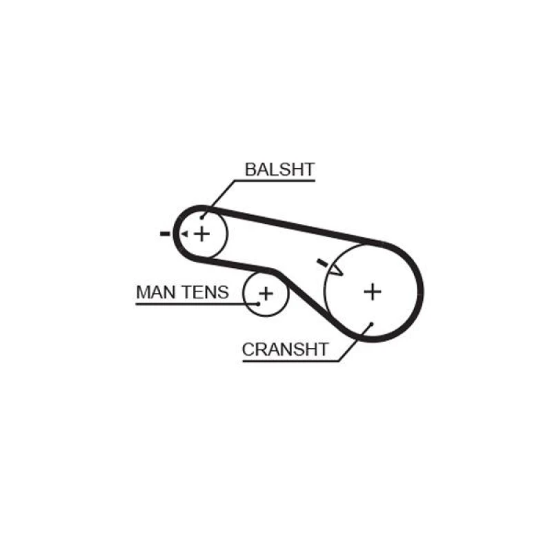 Image of GATES Timing Belt GATES 5570XS