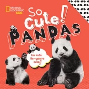 Image of so cute pandas