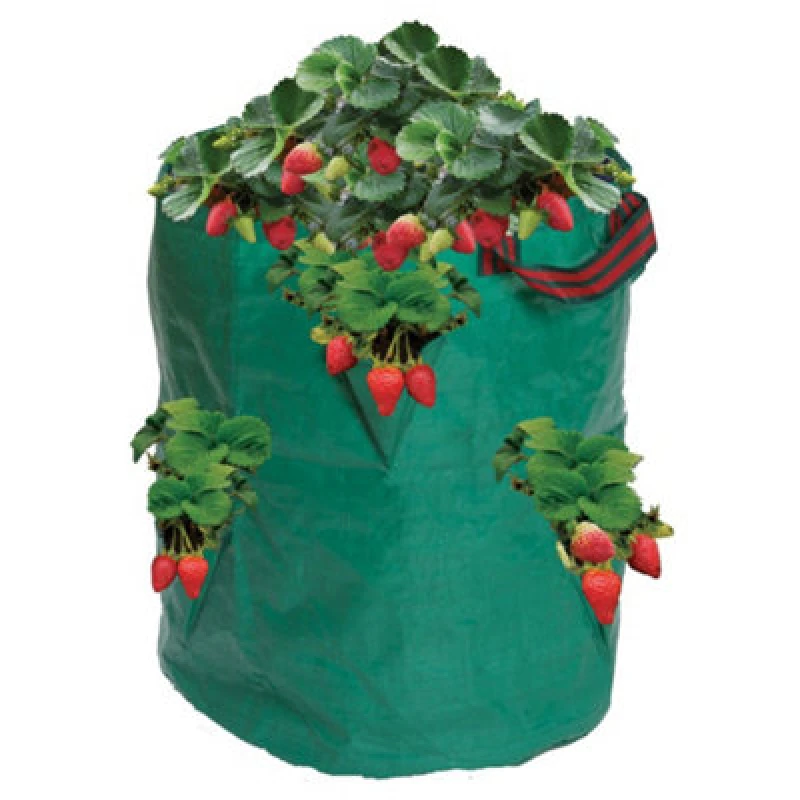 Image of Garland Strawberry/Herb Bag W0510