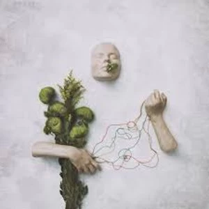 Image of red steppes - A Mouth May Grow Limited Edition Vinyl