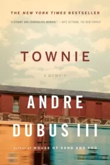 Image of Townie : A Memoir