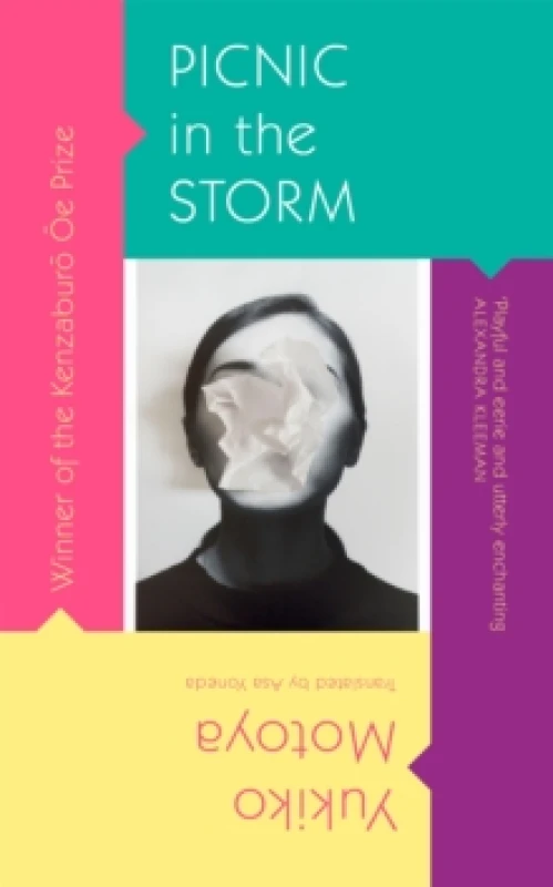 Image of Picnic in the Storm Paperback / softback