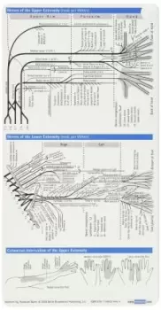Image of Neurology Pocketcard Set by Sebastian Stuckrad-Barre