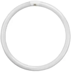Image of Crompton Lamps Fluorescent T9 Circular 40W 4-Pin Cool White FC40W/840