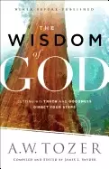 Image of wisdom of god letting his truth and goodness direct your steps