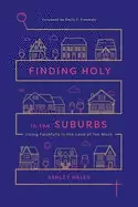 Image of finding holy in the suburbs living faithfully in the land of too much