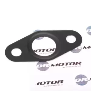 image of DR.MOTOR AUTOMOTIVE Gaskets BMW,OPEL,FIAT DRM01055 11422246091,55193060,55566151 Seal, oil outlet (charger) 5860558,860844,93175301