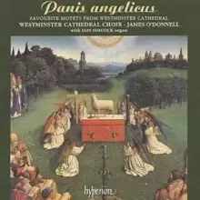 Panis Anglicus