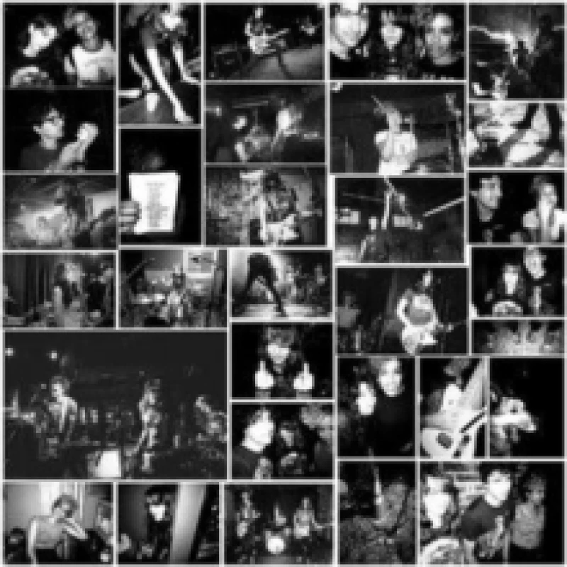 Image of Dismal nitch Vinyl