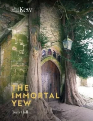 Image of The immortal yew by Tony Hall