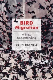 Image of Bird Migration : A New Understanding