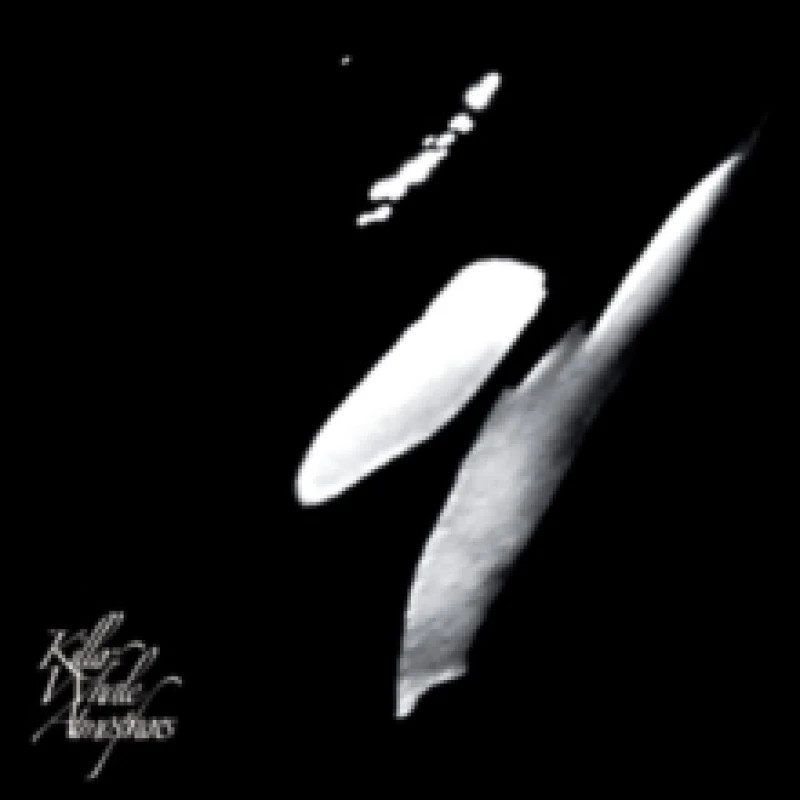 Image of Killer Whale Atmospheres Vinyl