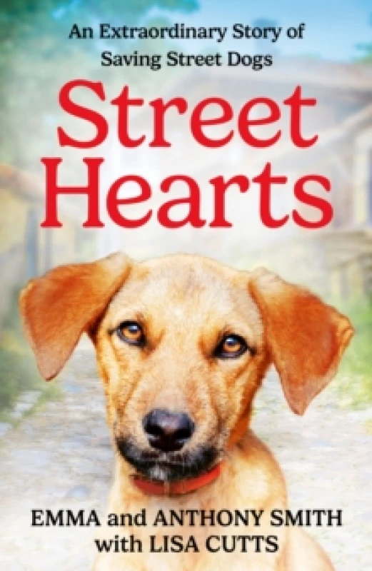 Image of Street Hearts. Hardback. By Emma Smith, Anthony Smith, Lisa Cutts Books