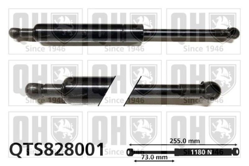 Image of QUINTON HAZELL Tailgate strut QUINTON HAZELL QTS828001