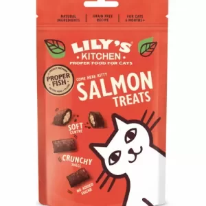 image of Lily's Kitchen Salmon Pillow Cat Treats 60g