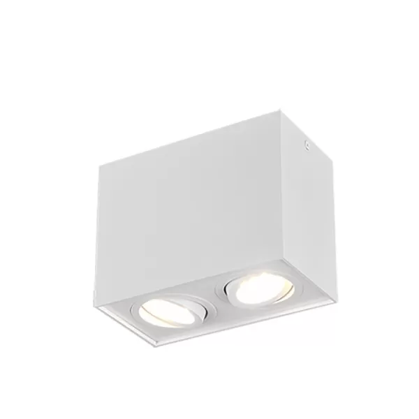 image of Biscuit Modern 2 Light Surface Mounted Downlight White Matt