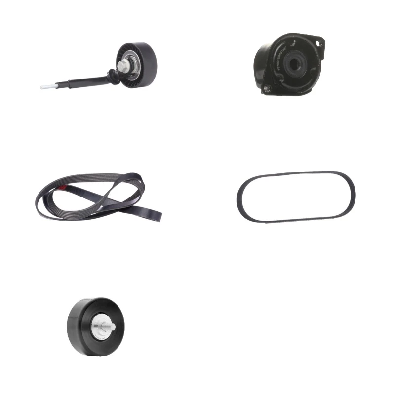 Image of RIDEX 542R0073 V-ribbed belt set V-Ribbed Belt Set (542)