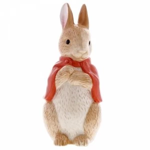Image of Flopsy Sculpted Money Bank