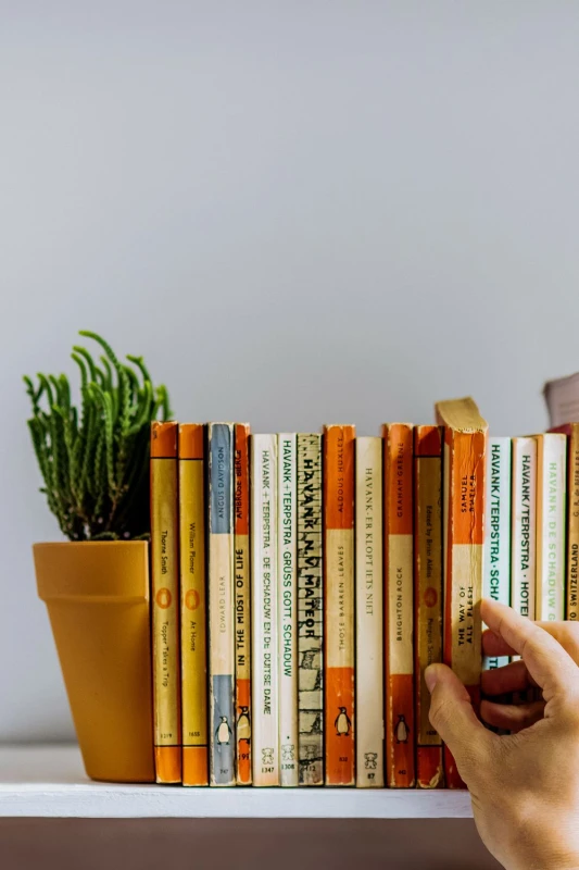 Image of Find Me A Gift Find Me A Gift Plant Pot Bookends Multi One Size Unisex 5060043065997