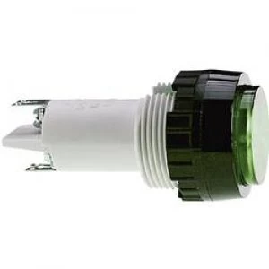 Image of RAFI 5.00.350.0131502 Green transparent