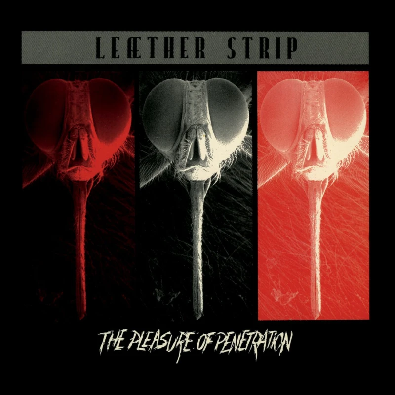 Image of The Pleasure of Penetration Vinyl