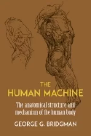 Image of human machine