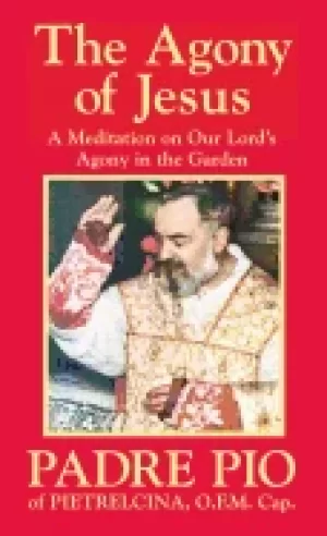 Image of agony of jesus in the garden of gethsemane