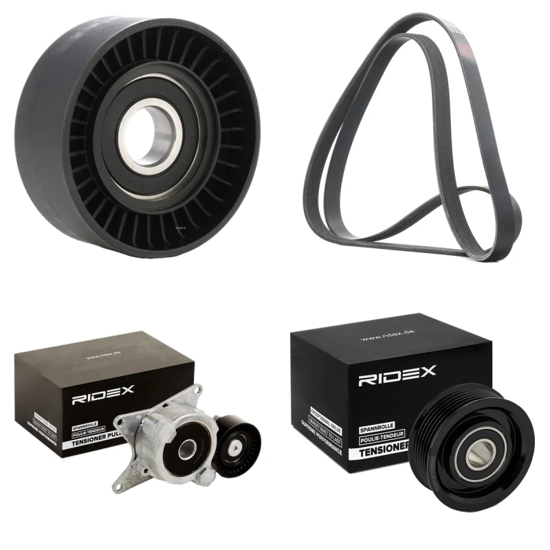 Image of RIDEX 542R0079 V-ribbed belt set V-Ribbed Belt Set (542)