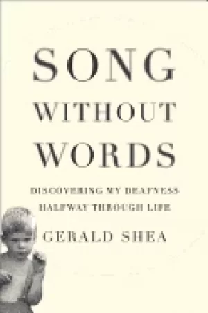 Image of song without words