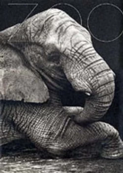 Image of Zoo. Hardback