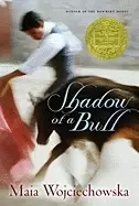 Image of shadow of a bull