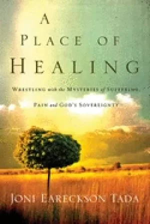 Image of place of healing wrestling with the mysteries of suffering pain and gods so