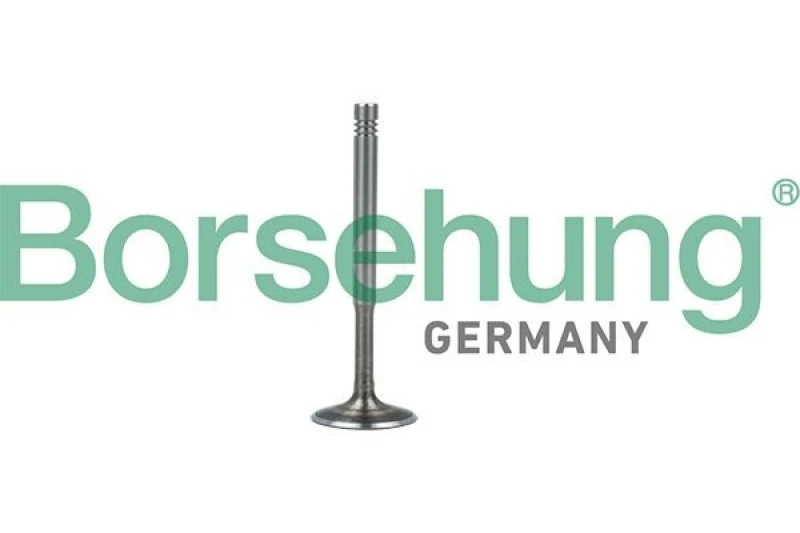 Image of Borsehung Exhaust valve Borsehung B19010
