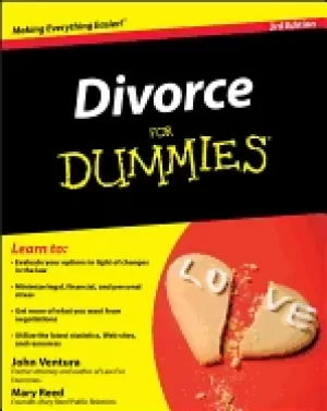 Image of divorce for dummies