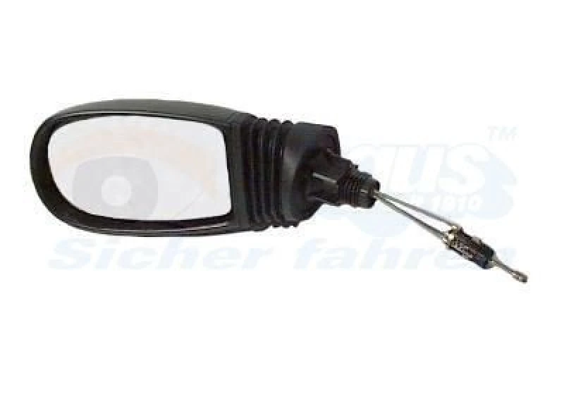 Image of VAN WEZEL Wing mirror VAN WEZEL 1620803