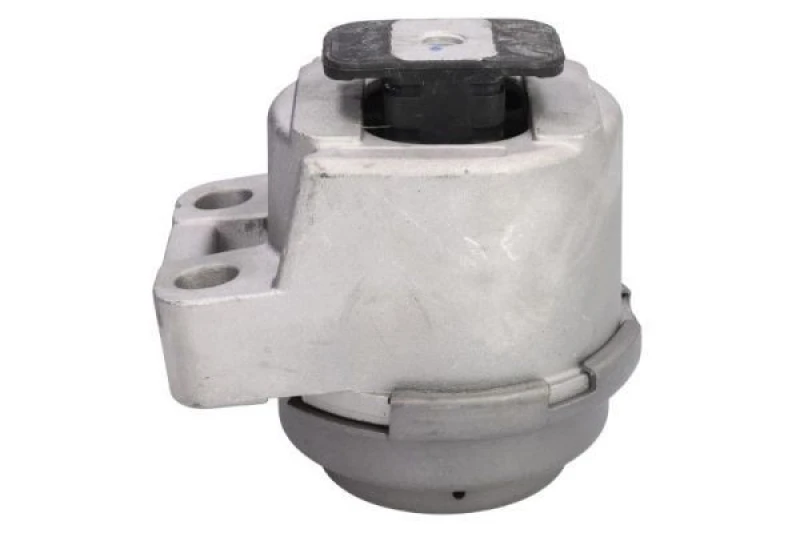 Image of REINHOCH Engine mount REINHOCH RH11-4061