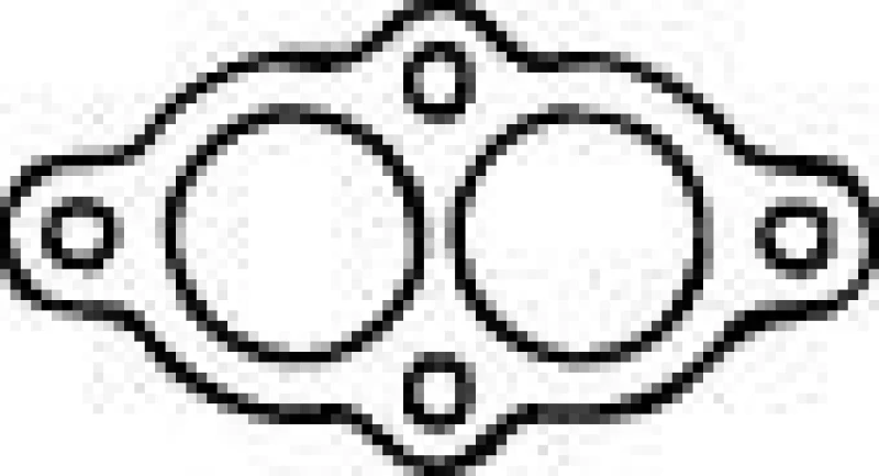 Image of Exhaust pipe gasket VEGAZ BD-117