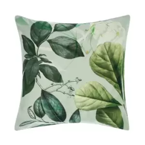 image of Glasshouse Botanical Pillow Sham Mint