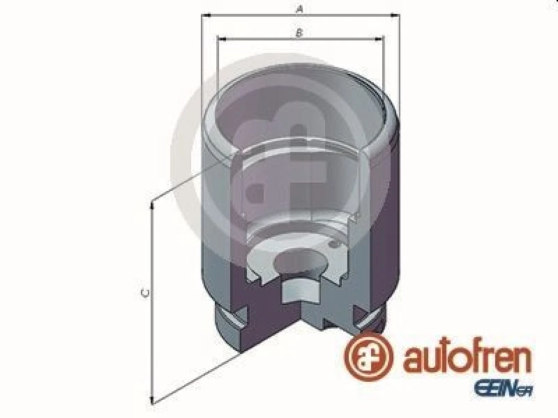 Image of AUTOFREN SEINSA Brake caliper piston AUTOFREN SEINSA D025293