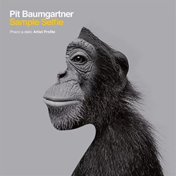 image of Pit Baumgartner - Sample Selfie CD