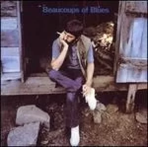Image of beaucoups of blues