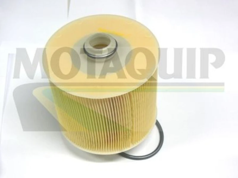 Image of MOTAQUIP Air filter MOTAQUIP VFA1181