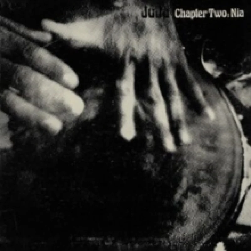 Image of Chapter Two: Nia Vinyl
