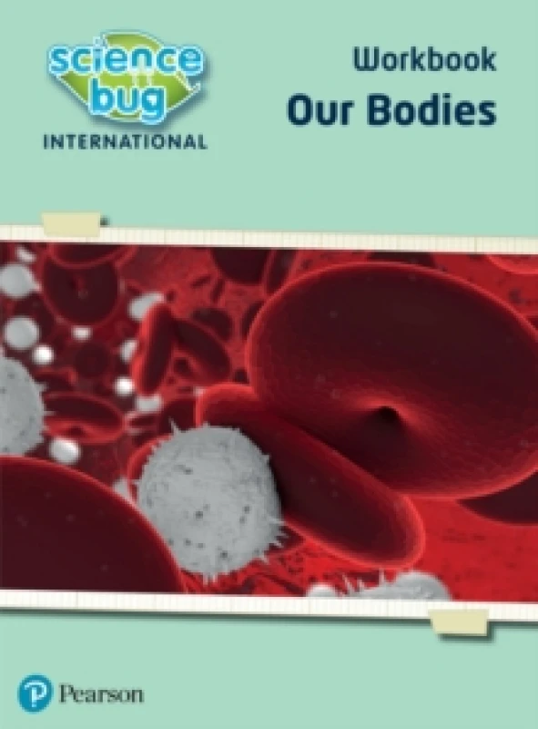 Image of Debbie Eccles Science Bug: Our bodies Workbook Multi unisex
