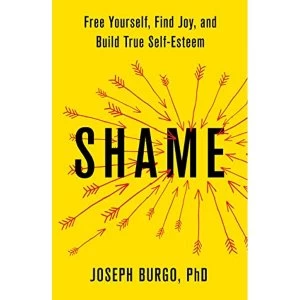 Image of SHAME Hardback 2018