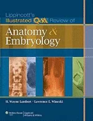 Image of lippincotts illustrated q and a review of anatomy and embryology