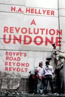 Image of A Revolution Undone : Egypt's Road Beyond Revolt