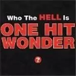 image of One Hit Wonder - Who The Hell Is The One Hit Wonder